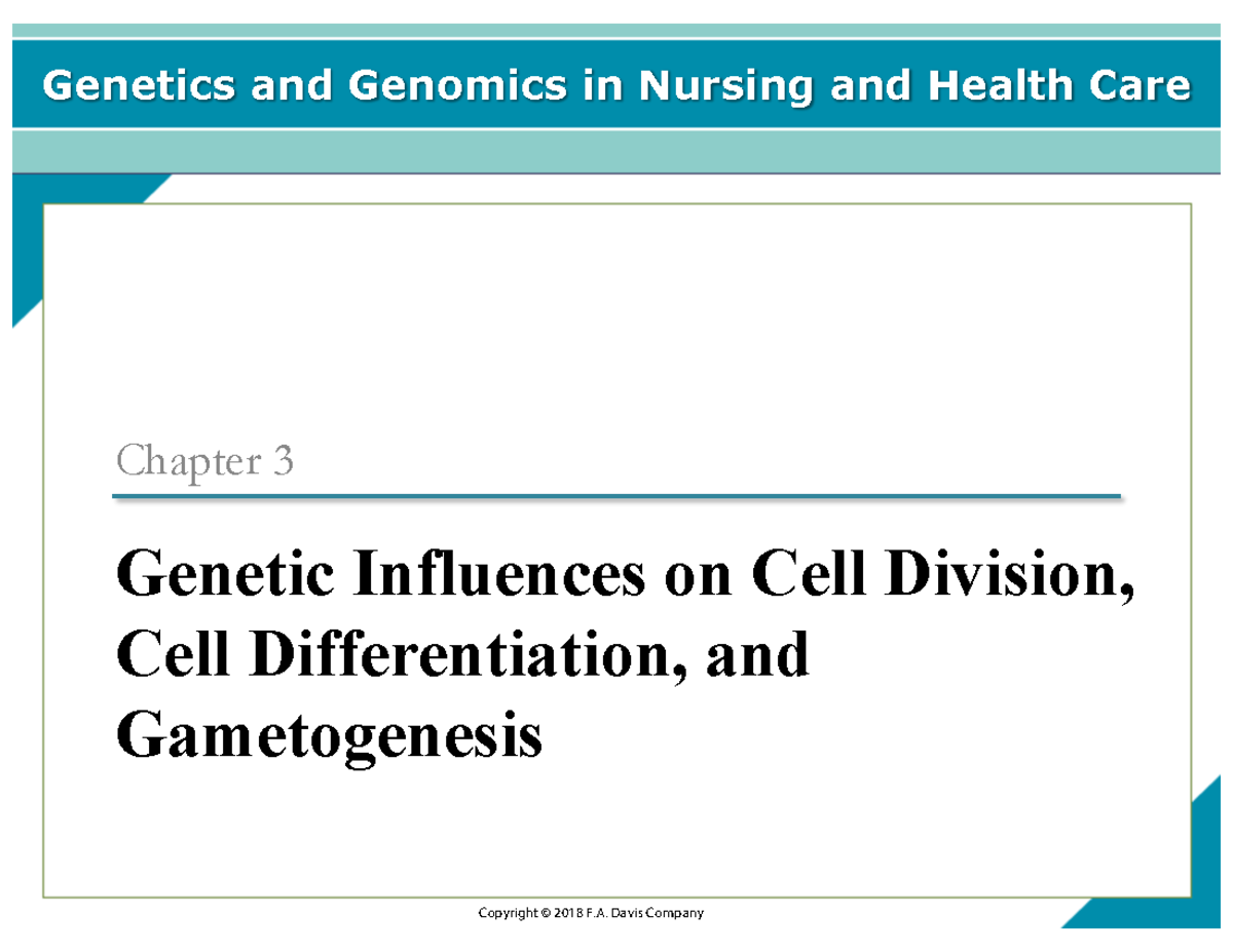 Genetics and Genomics in Nursing CH 3: Meiosis & Cell Differentiation ...