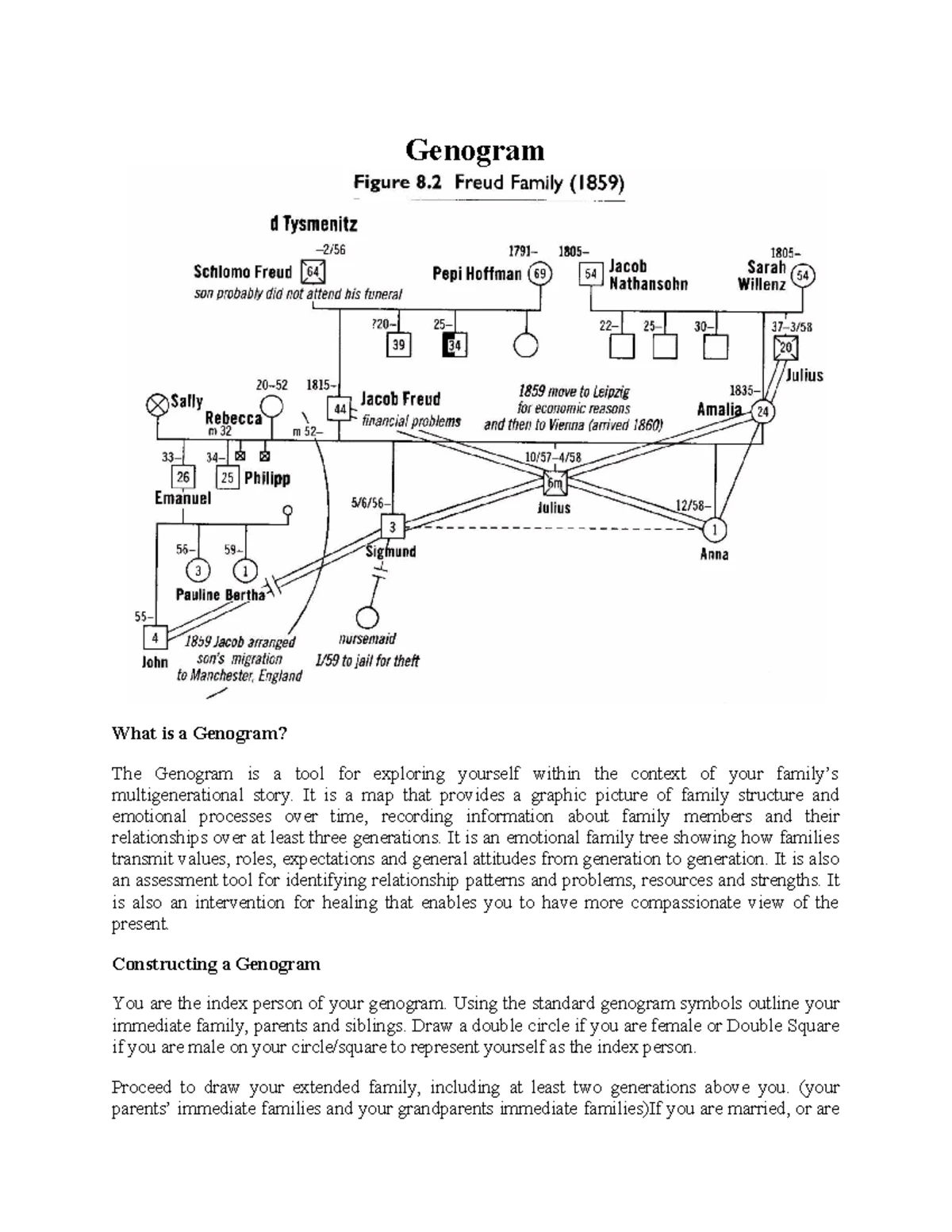 Assignment - ASSIGNMENT SOCIAL PSYCHOLOGY THEORIES OF ATTRIBUTION AND ...