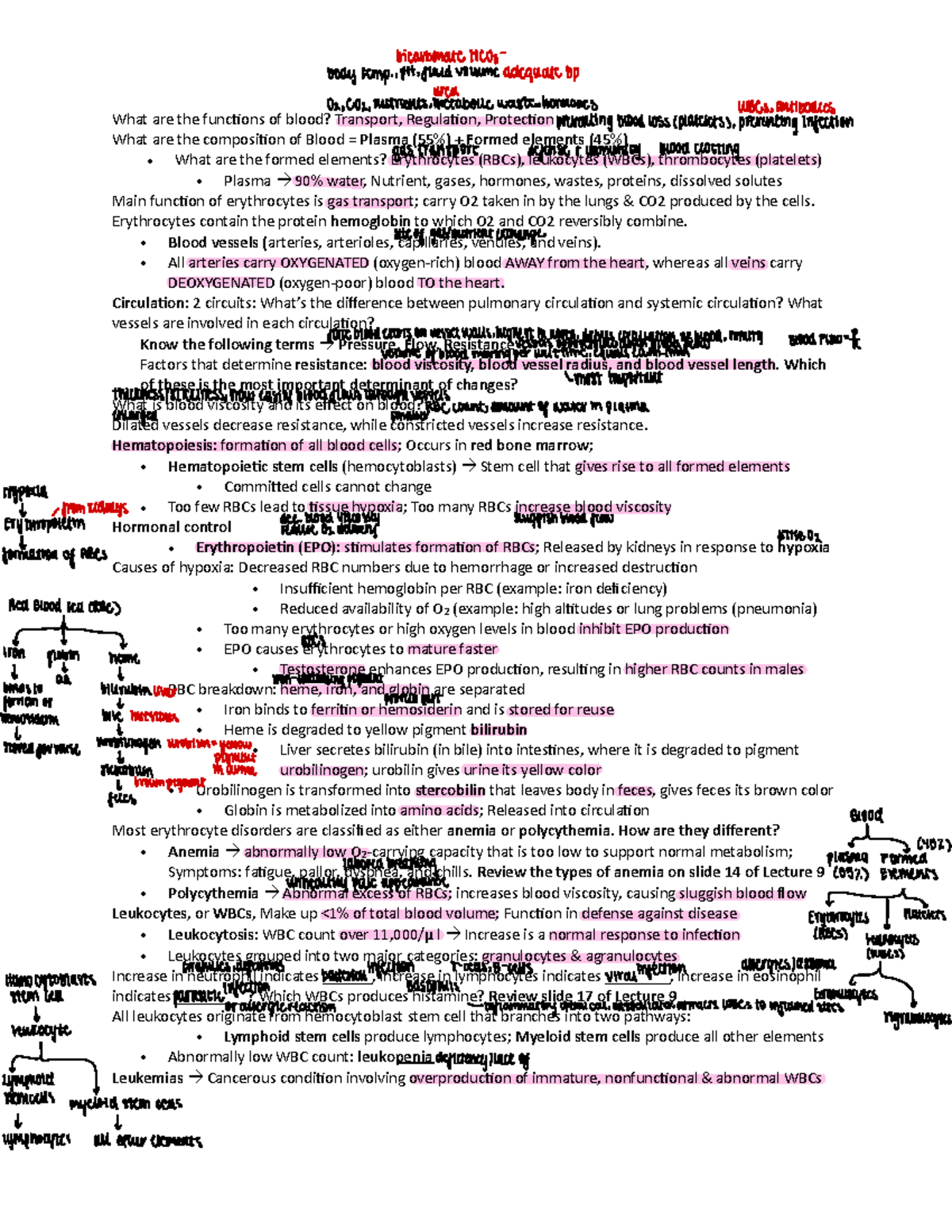 Midterm Study Guide for History 101: Key Concepts and Themes - What are ...