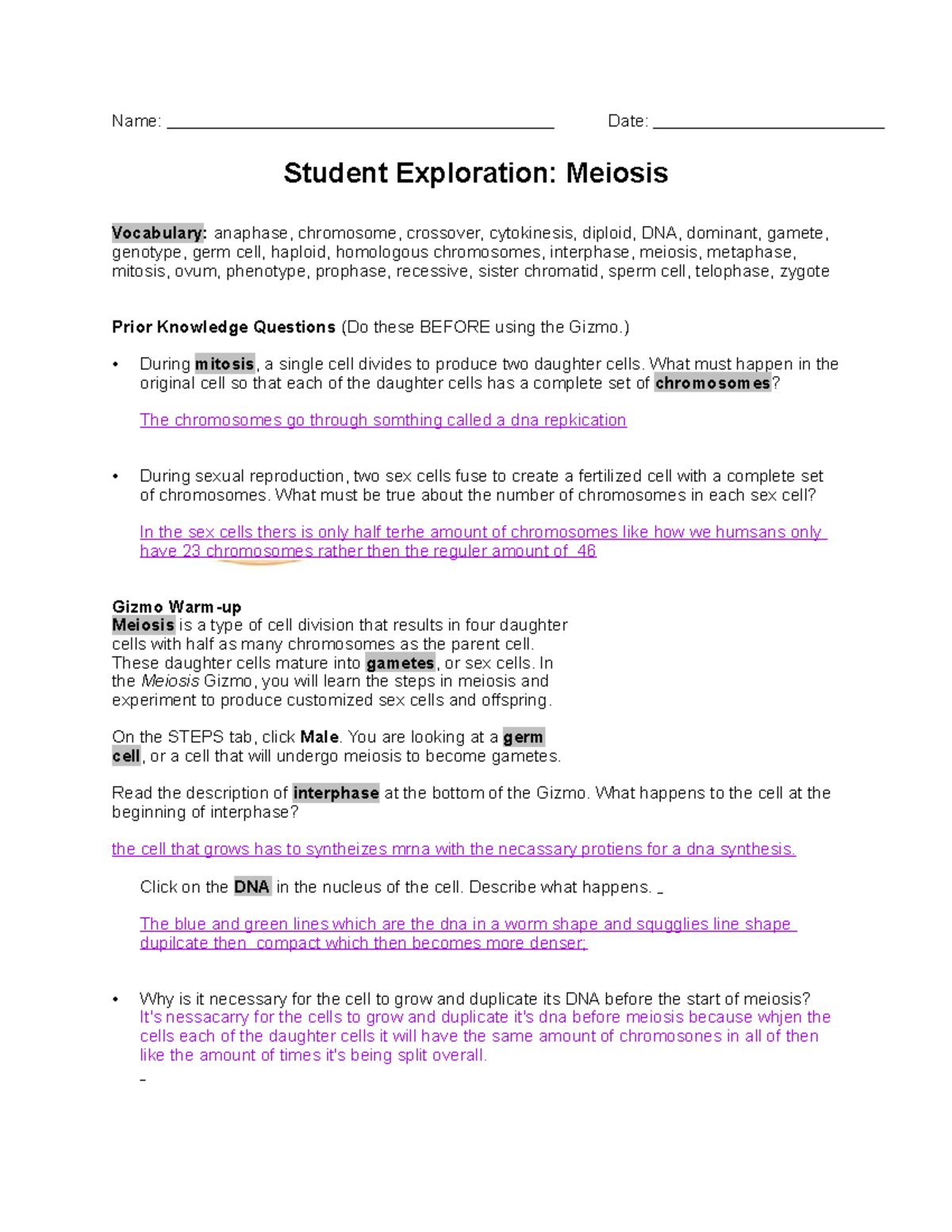 Meiosis Study Guide: Key Vocabulary and Concepts (Biology 101) - Studocu
