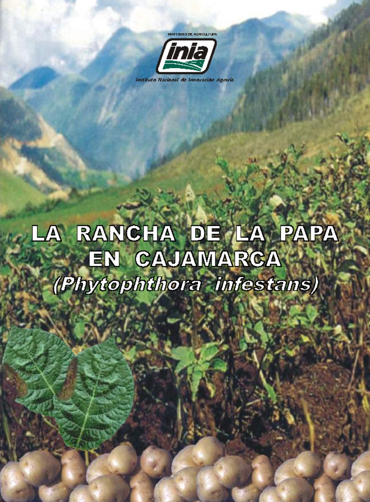Informe Técnico 08: La Rancha de la Papa en Cajamarca (Phytophthora ...