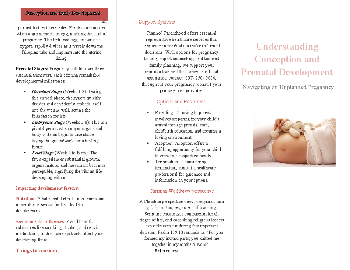 Biological Beginnings and Prenatal Development Brochure - Im portant ...