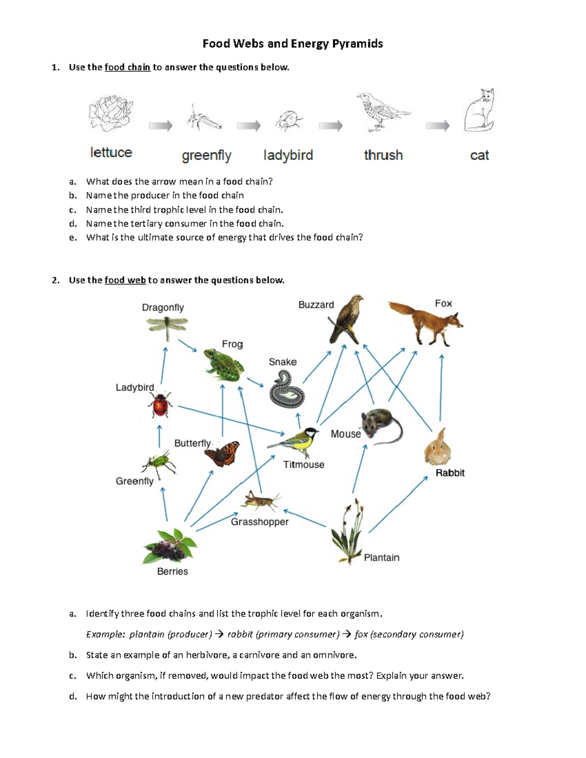 Food Webs - Understanding Food Chains and Energy Pyramids Guide - Studocu, image size:1200x1553