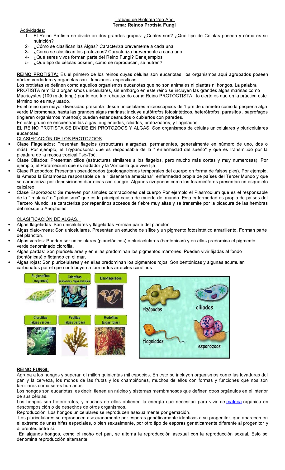Reinos Protista y Fungi: Estudio para Biología 2do Año - Studocu
