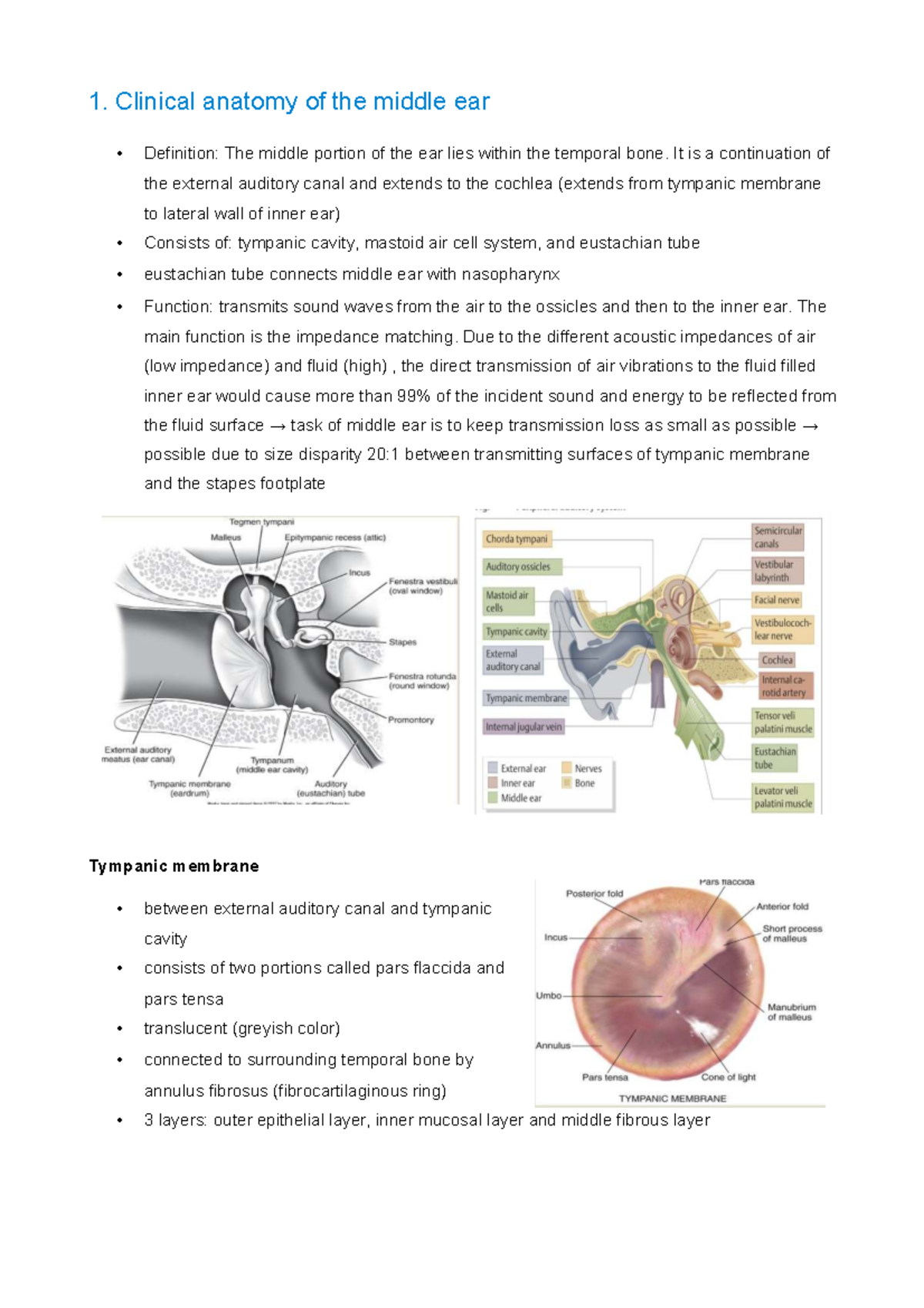 ENT 101: Clinical Anatomy and Physiology of the Ear - Studocu