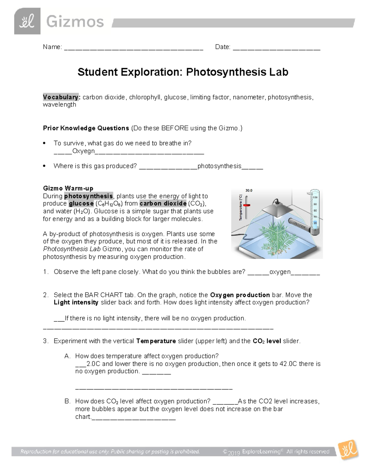 Photosynthesis Lab SE (6): Exploring Light's Impact on Photosynthesis ...