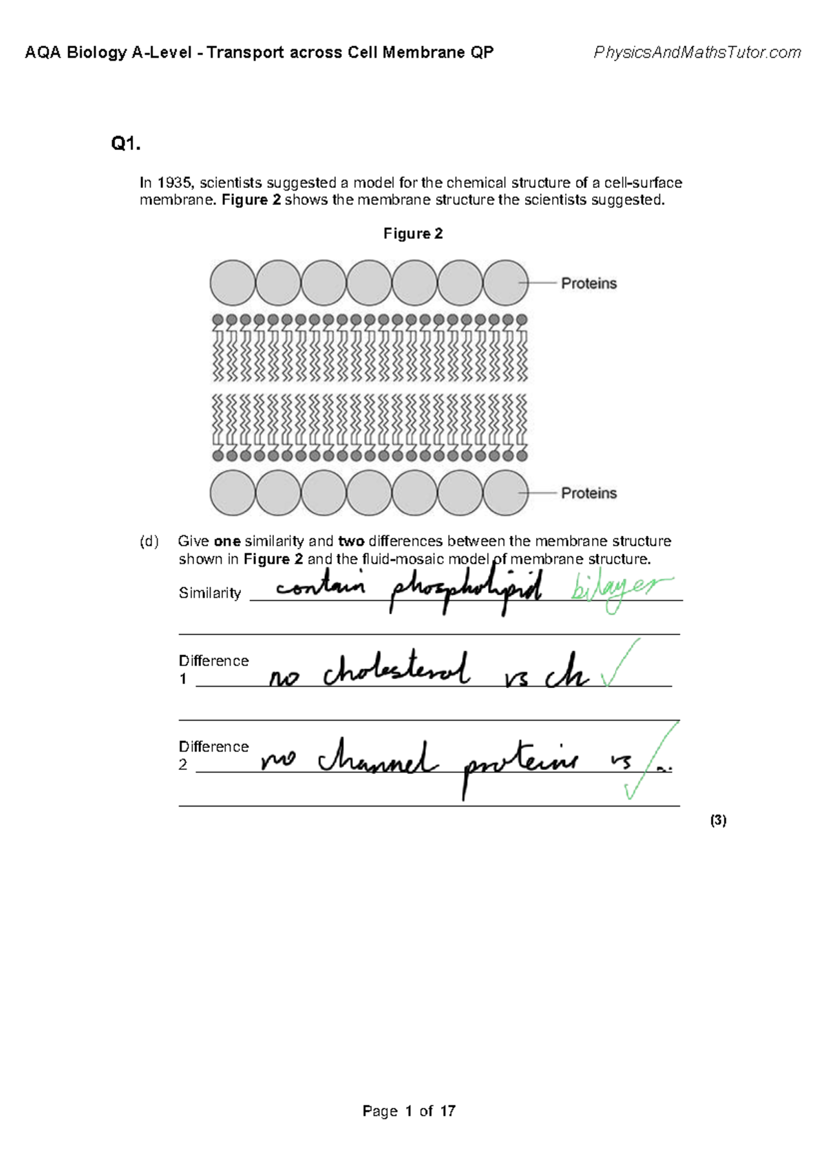 AQA Biology Transport Across Cell Membrane - QP Study Guide - Studocu