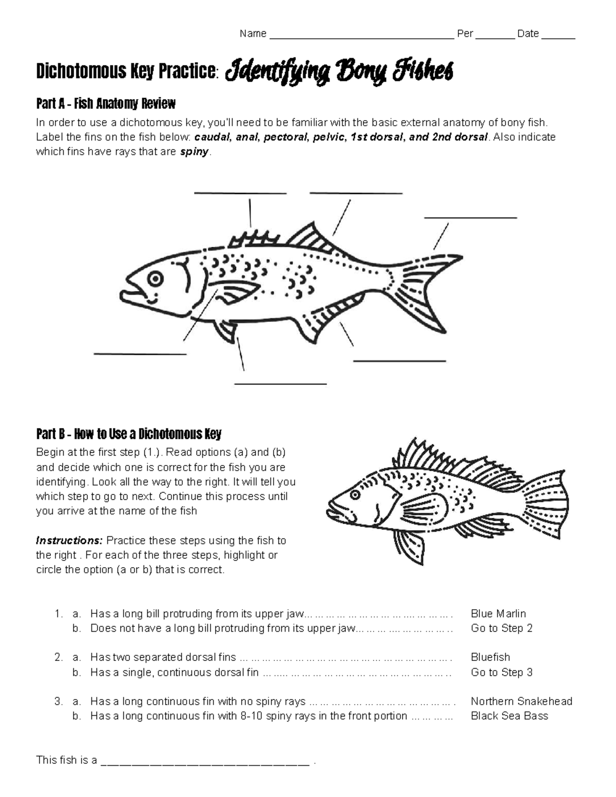 Bony Fish Anatomy & Dichotomous Key Practice: Part A & B - Studocu