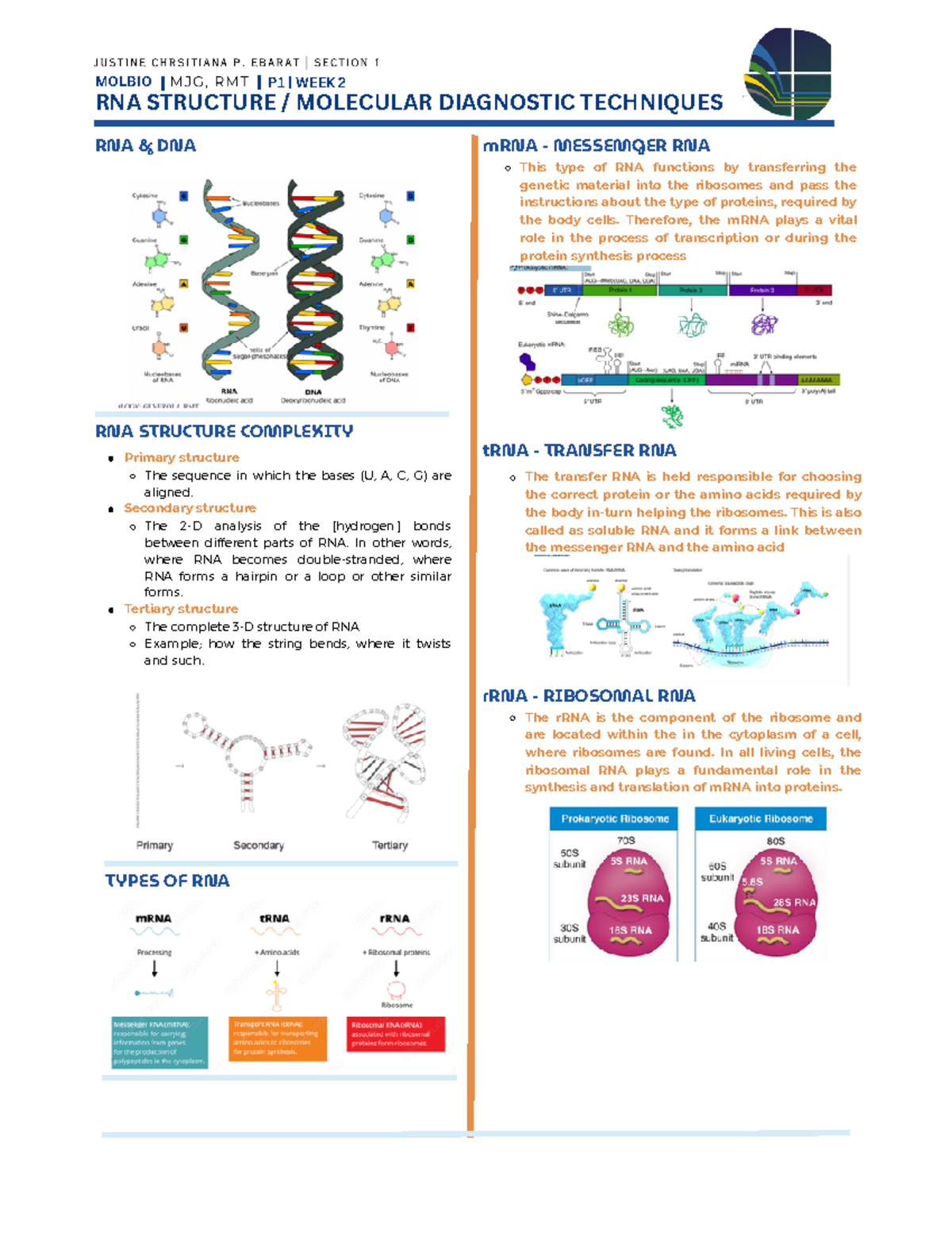 RNA Structure Molecular Diagnostic Techniques - RNA STRUCTURE ...