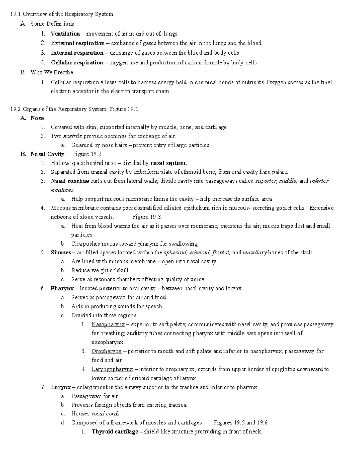 Chapter 19: Detailed Overview of the Respiratory System - Studocu