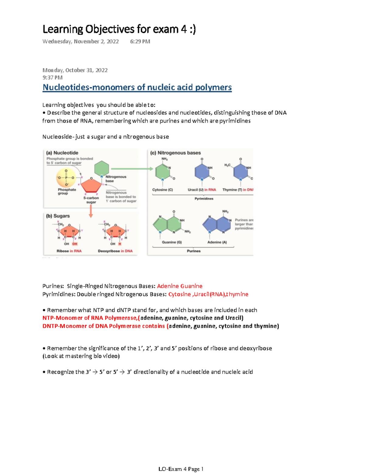 Learning Objectives for Exam 4: Nucleic Acids & DNA Replication - Studocu