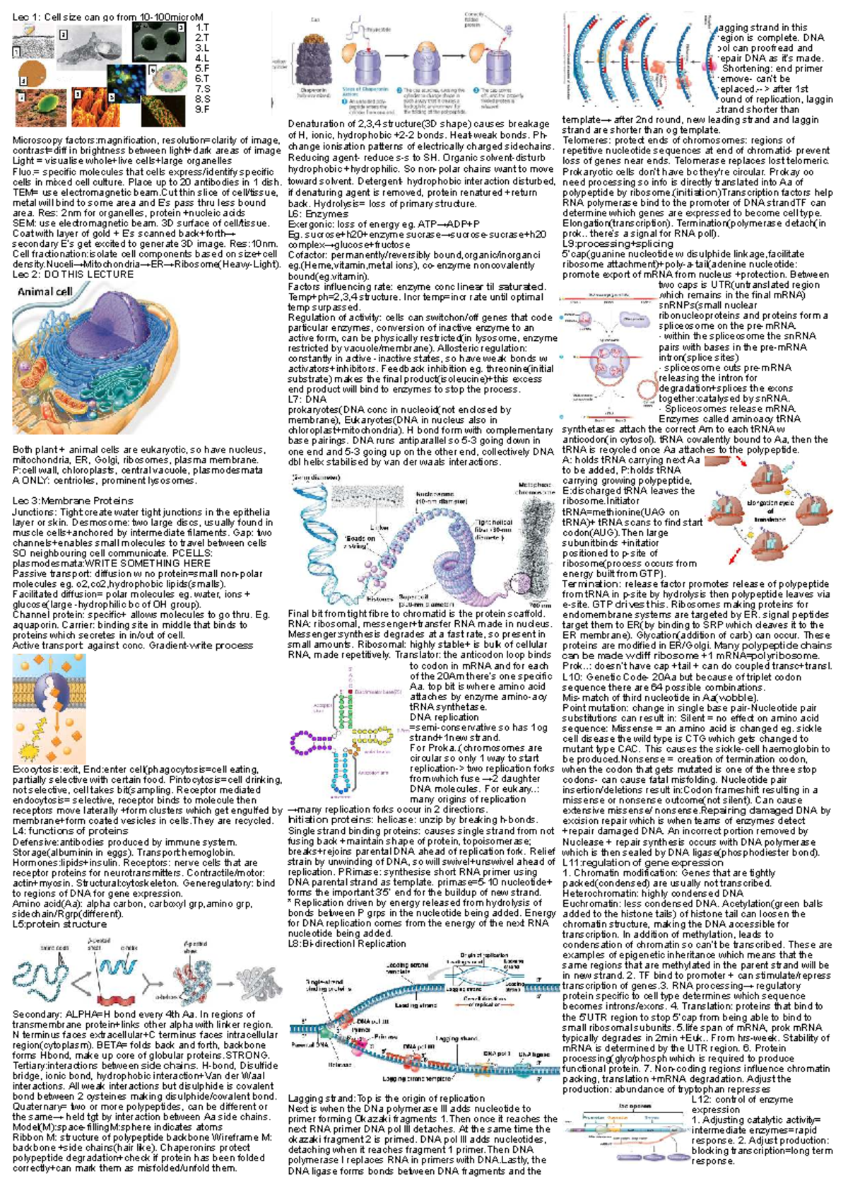 Biosci 101 T1 Lecture Notes: Cell Structure & Function Overview - Studocu