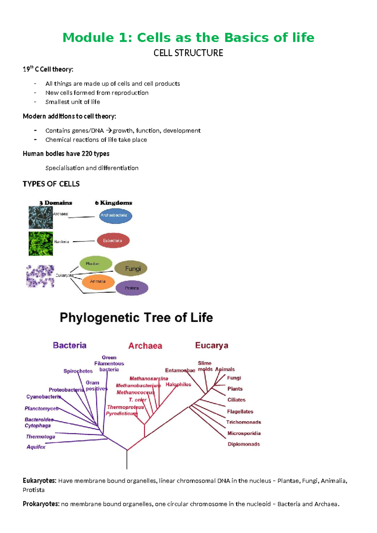 Biology Prelim Notes: Module 1 - Cells and Their Functions - Studocu
