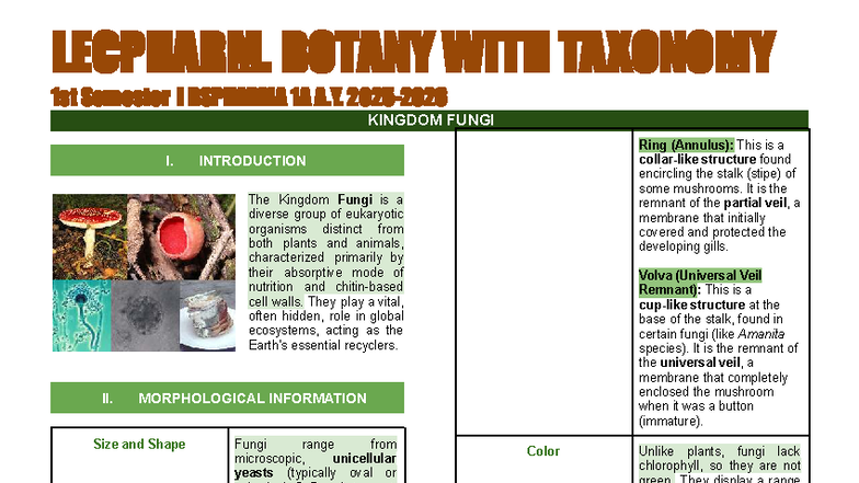 BSPH 1A 1st Sem: Pharmaceutical Botany & Taxonomy - Kingdom Fungi - Studocu