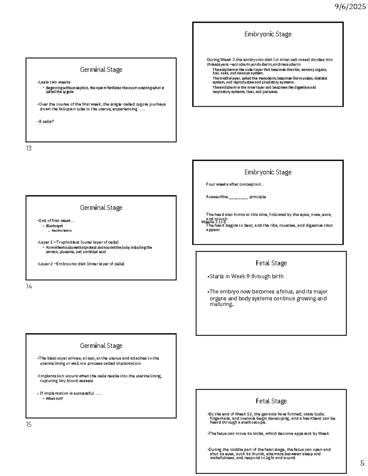 Psych of Aging - Exam 2 Study Notes (PSY 305) - Studocu
