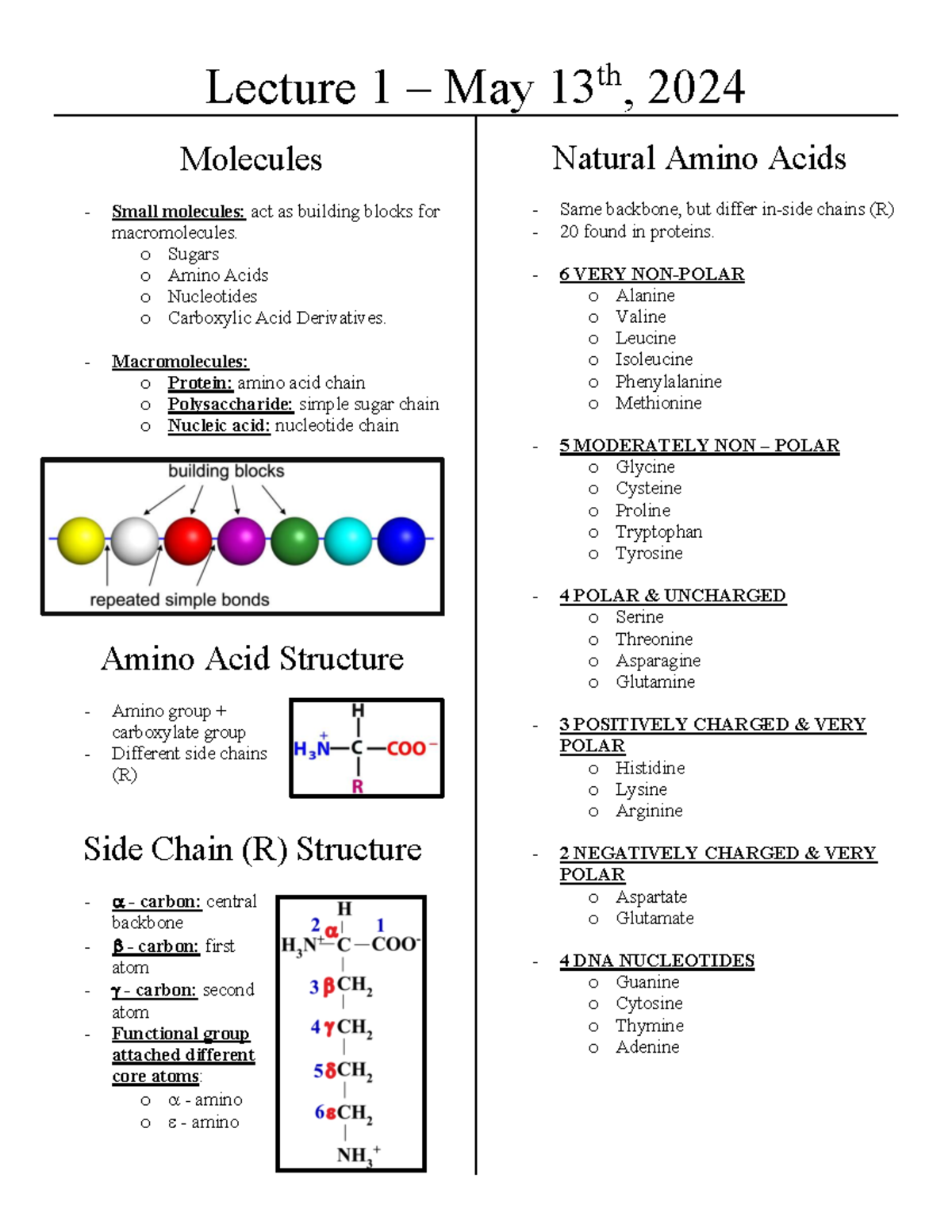 Lecture 1: Overview of Natural Amino Acids and Their Properties - Studocu