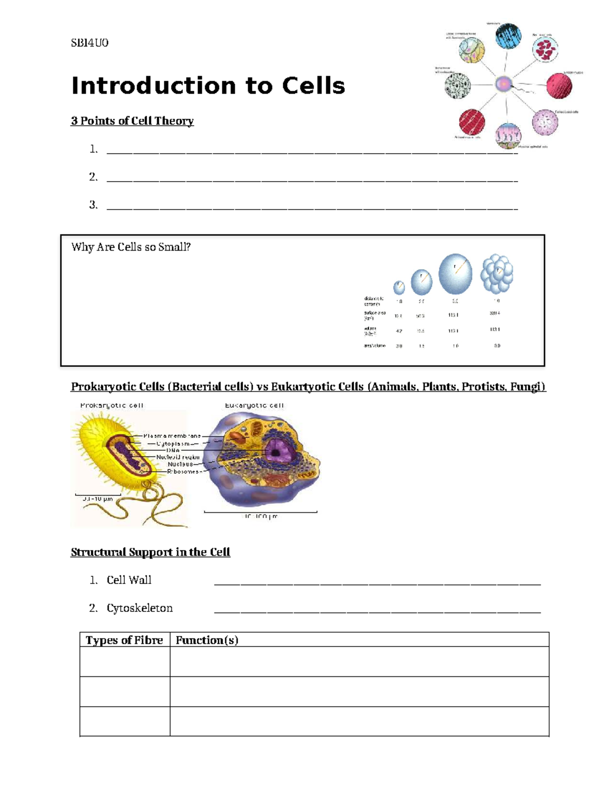 2 - Mandatory. - SBI4U Introduction to Cells 3 Points of Cell Theory 1 ...