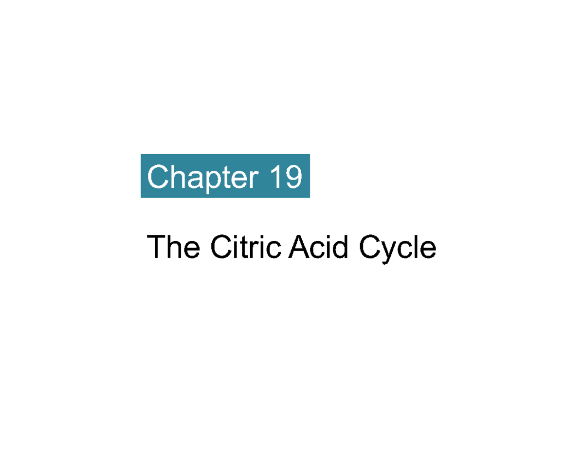 Chapter 19: The Citric Acid Cycle and Glucose Metabolism (BIO 101 ...