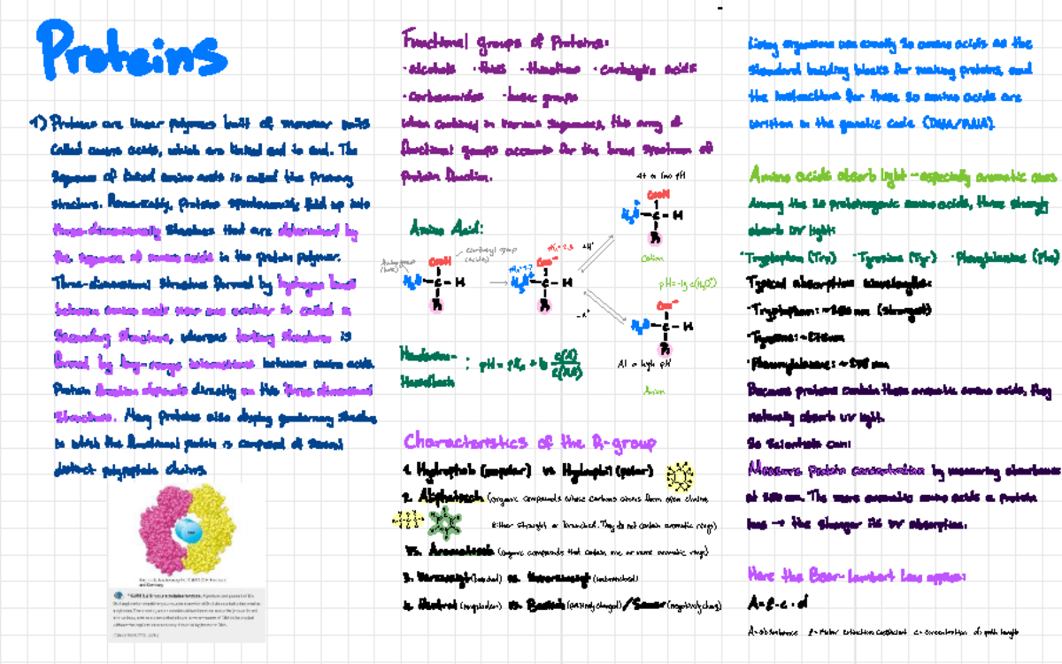 Proteins and Amino Acids: Functional Groups and Structures (BIO 101 ...