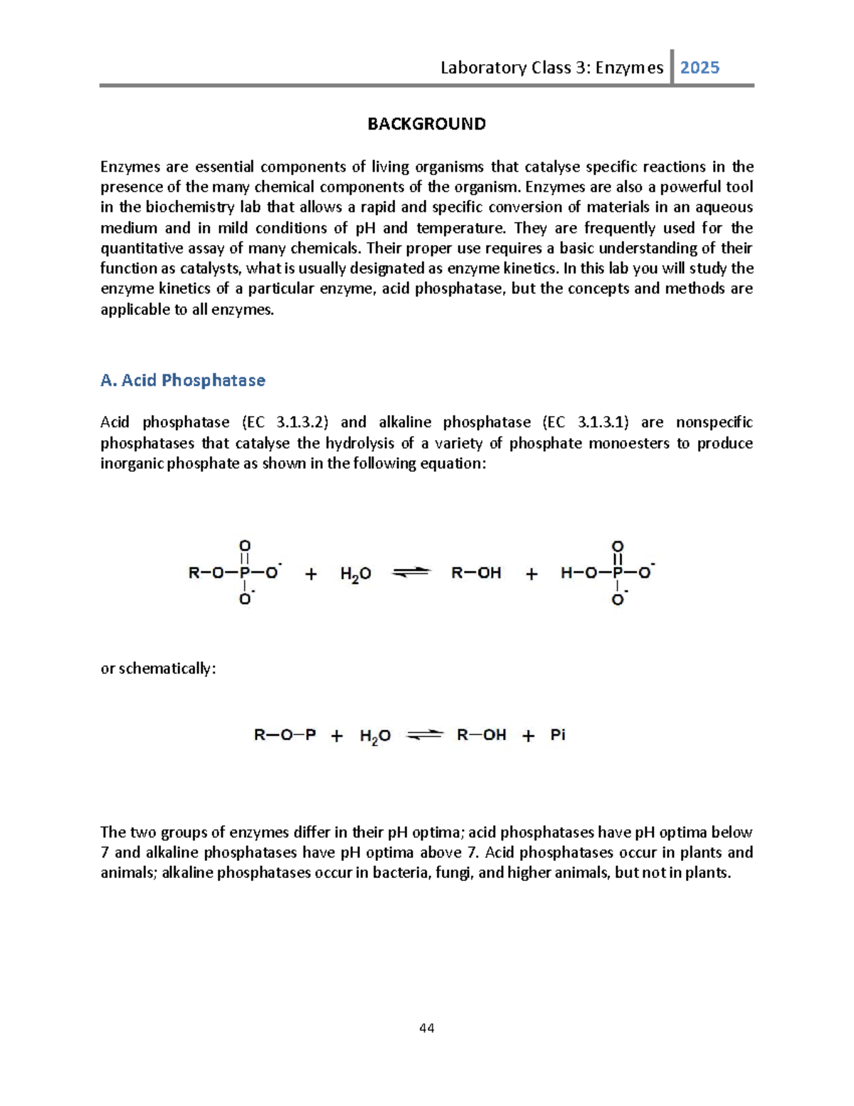 L3 Background - BACKGROUND Enzymes are essential components of living ...