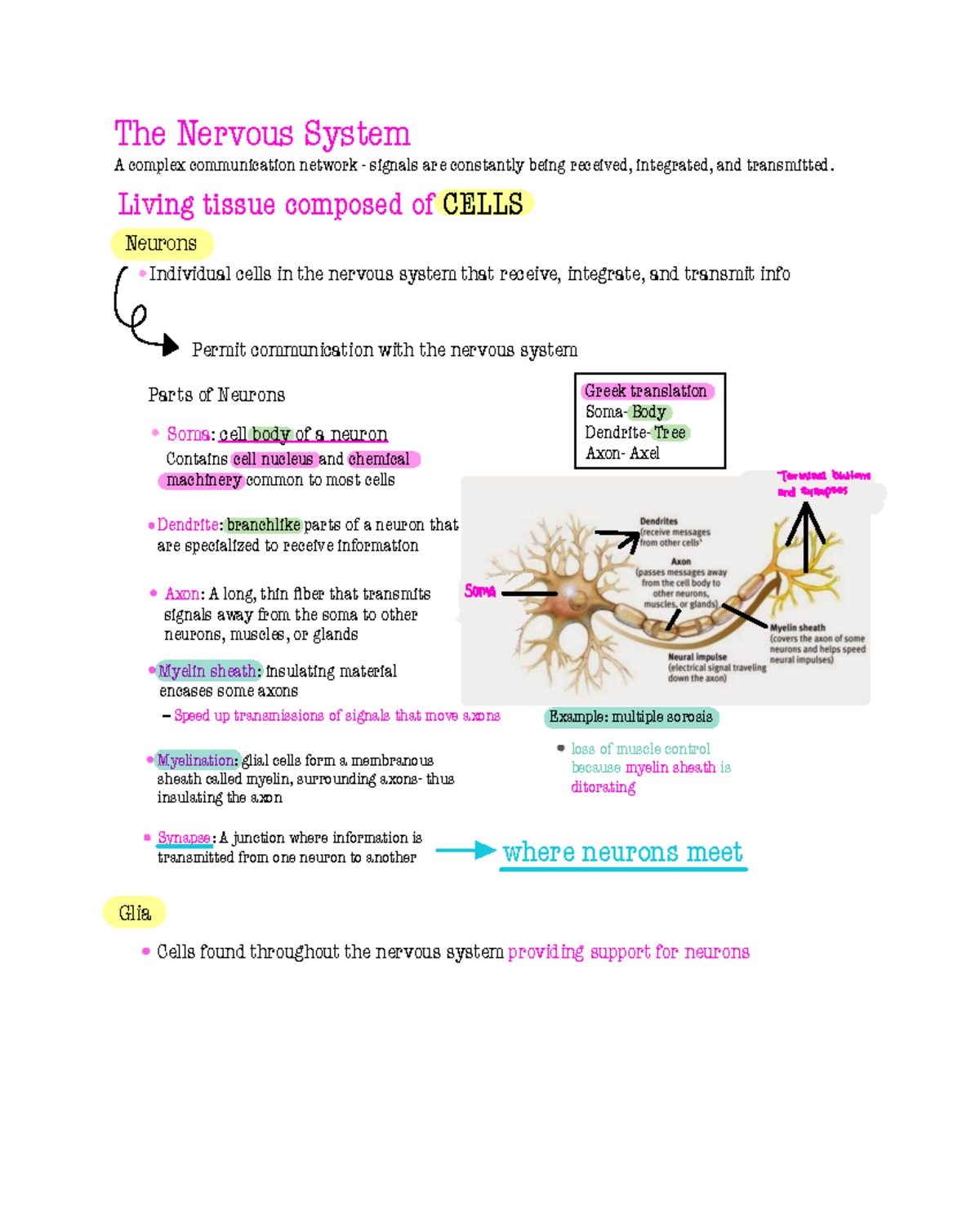 Ch 3: Overview of the Nervous System and Brain Functions - Studocu