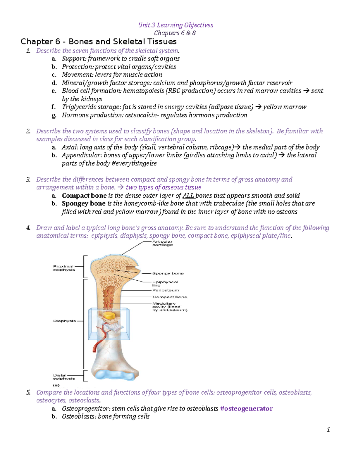 Unit 3 Learning Objectives - Unit 3 Learning Objectives Chapters 6 & 8 ...