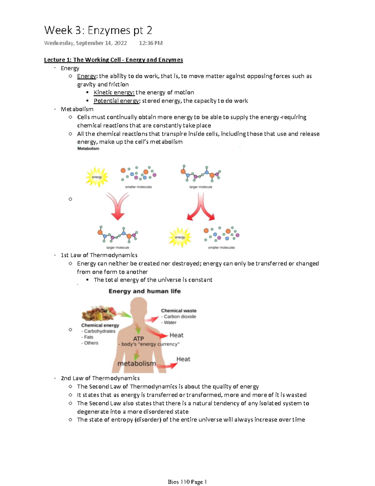 Bios 110 Week 3 Part 2: Energy, Enzymes, and Cellular Metabolism Notes ...