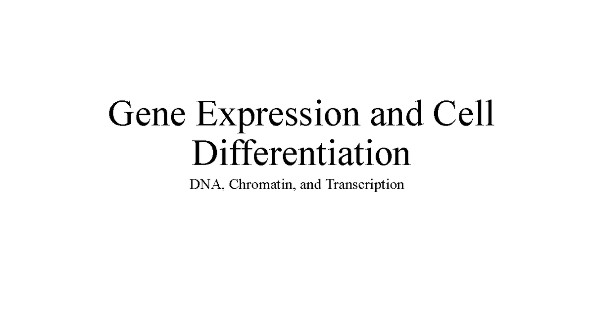 BIO 203W Lecture Notes: Gene Expression & Cell Differentiation - Studocu