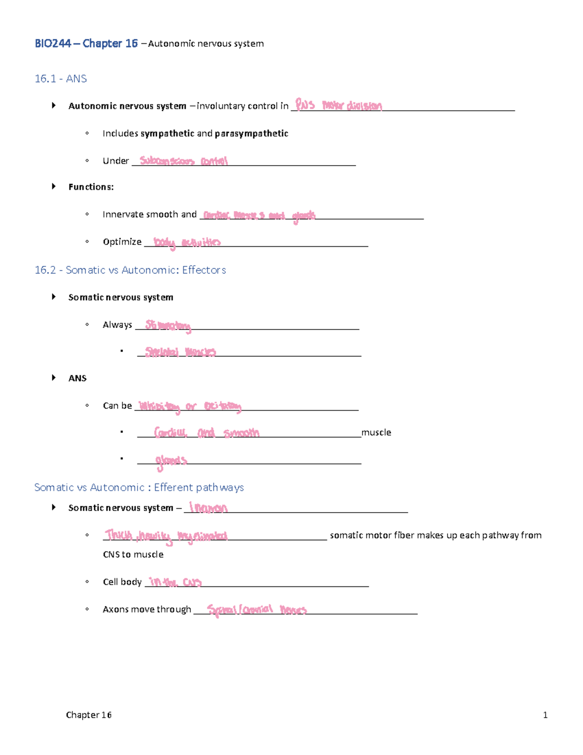 BIO244 - Chapter 16: Overview of the Autonomic Nervous System - 16 ...