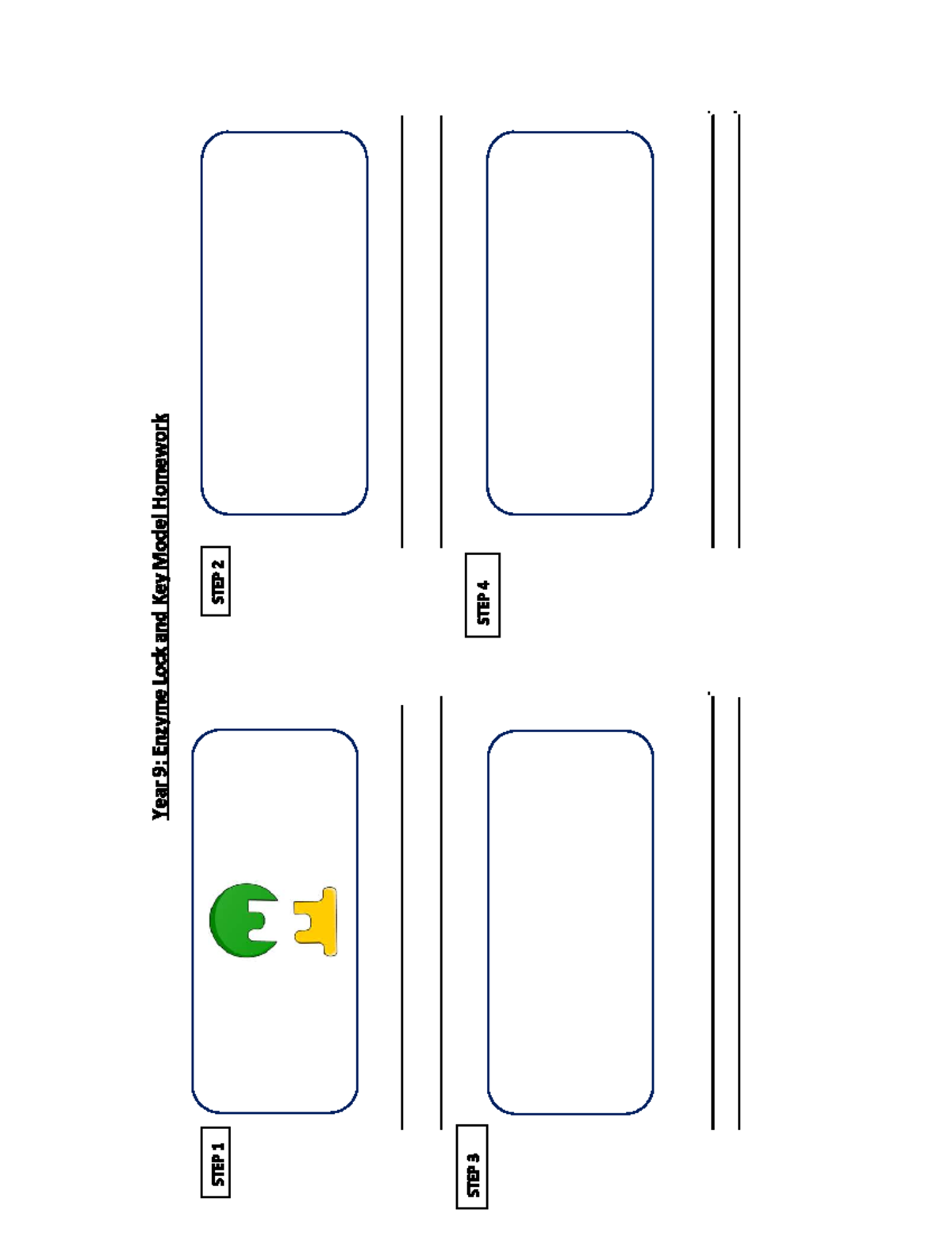 Yr9 biology worksheet - Year 9: Enzyme Lock and Key Model Homework STEP ...