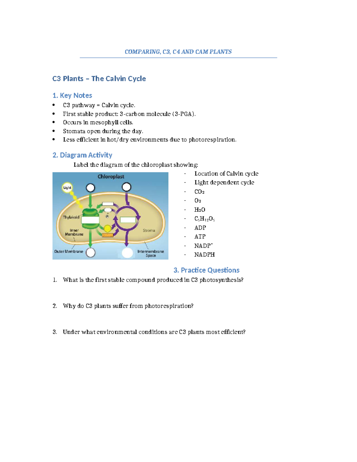 Comparing C3, C4 AND CAM Plants - COMPARING, C3, C4 AND CAM PLANTS C3 ...