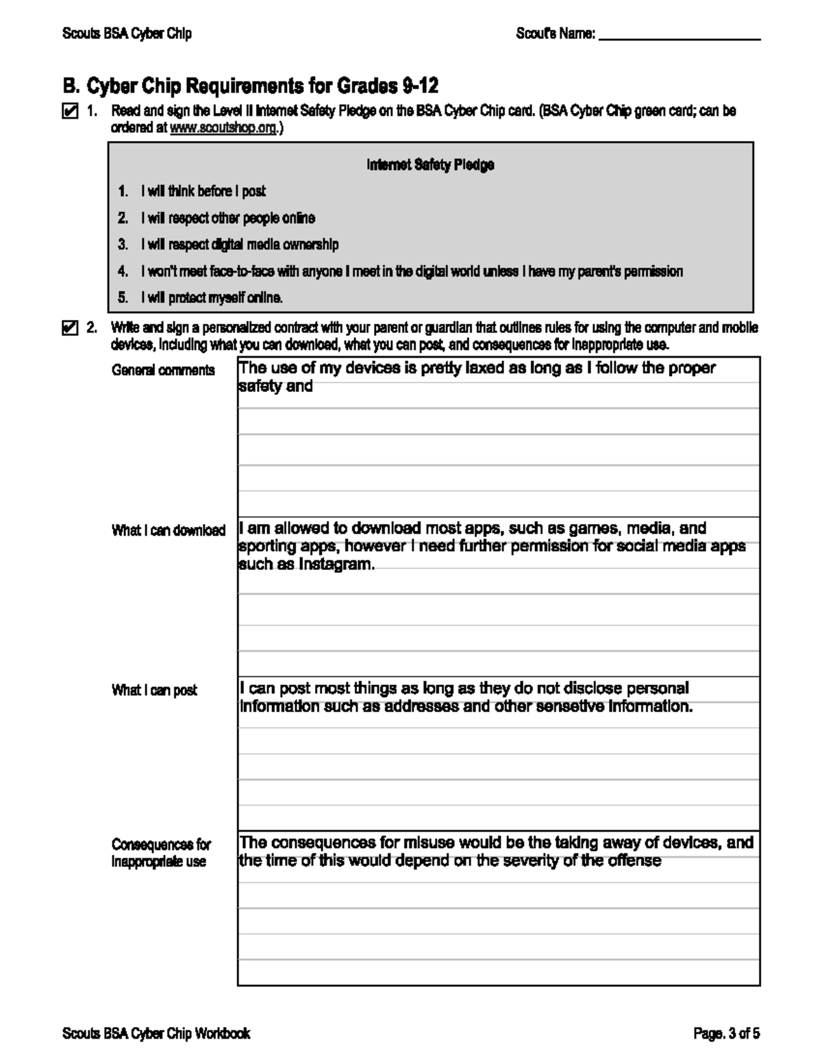 Test - yes - Scouts BSA Cyber Chip Name: B. Cyber Chip Requirements for ...