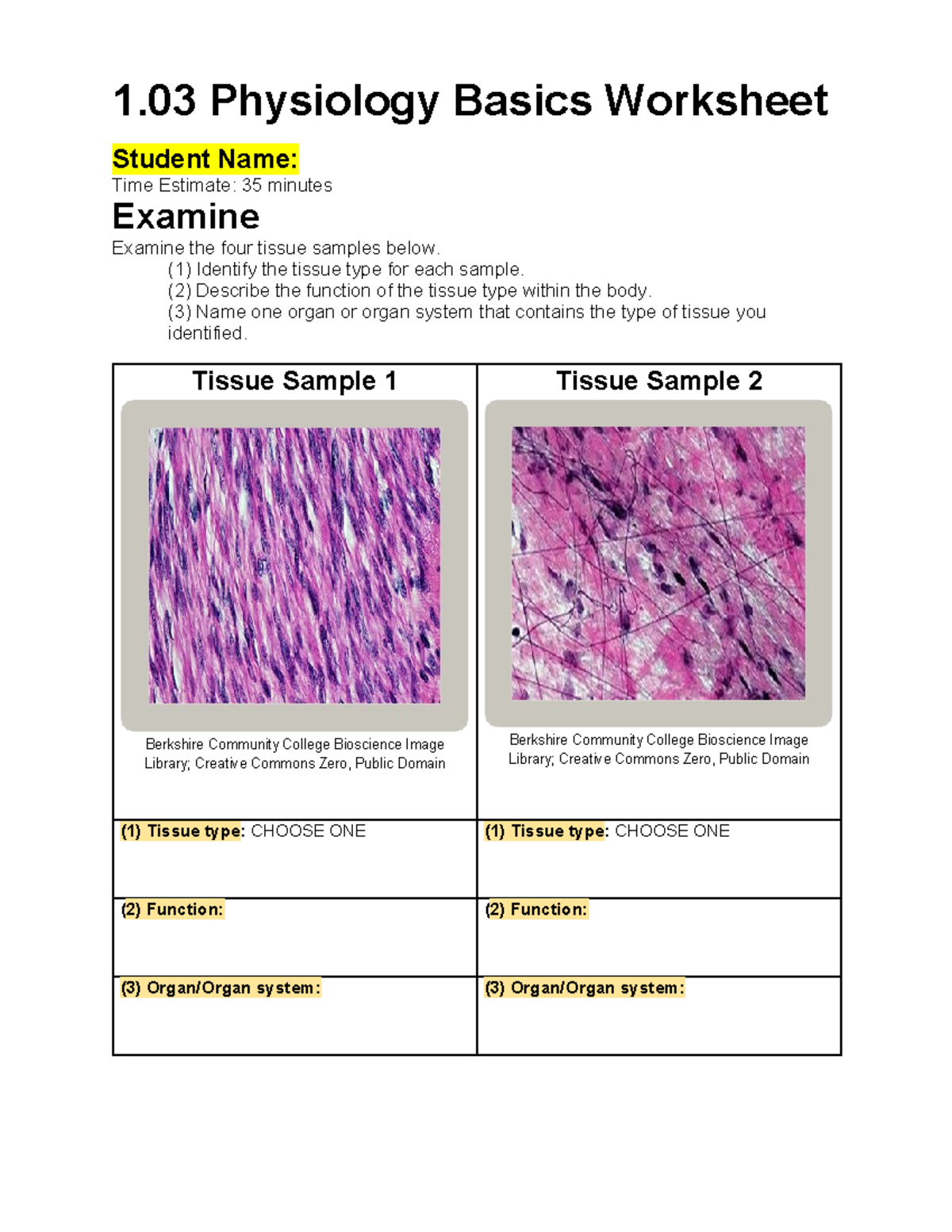 1.03 Physiology Basics Worksheet Assignment - Studocu