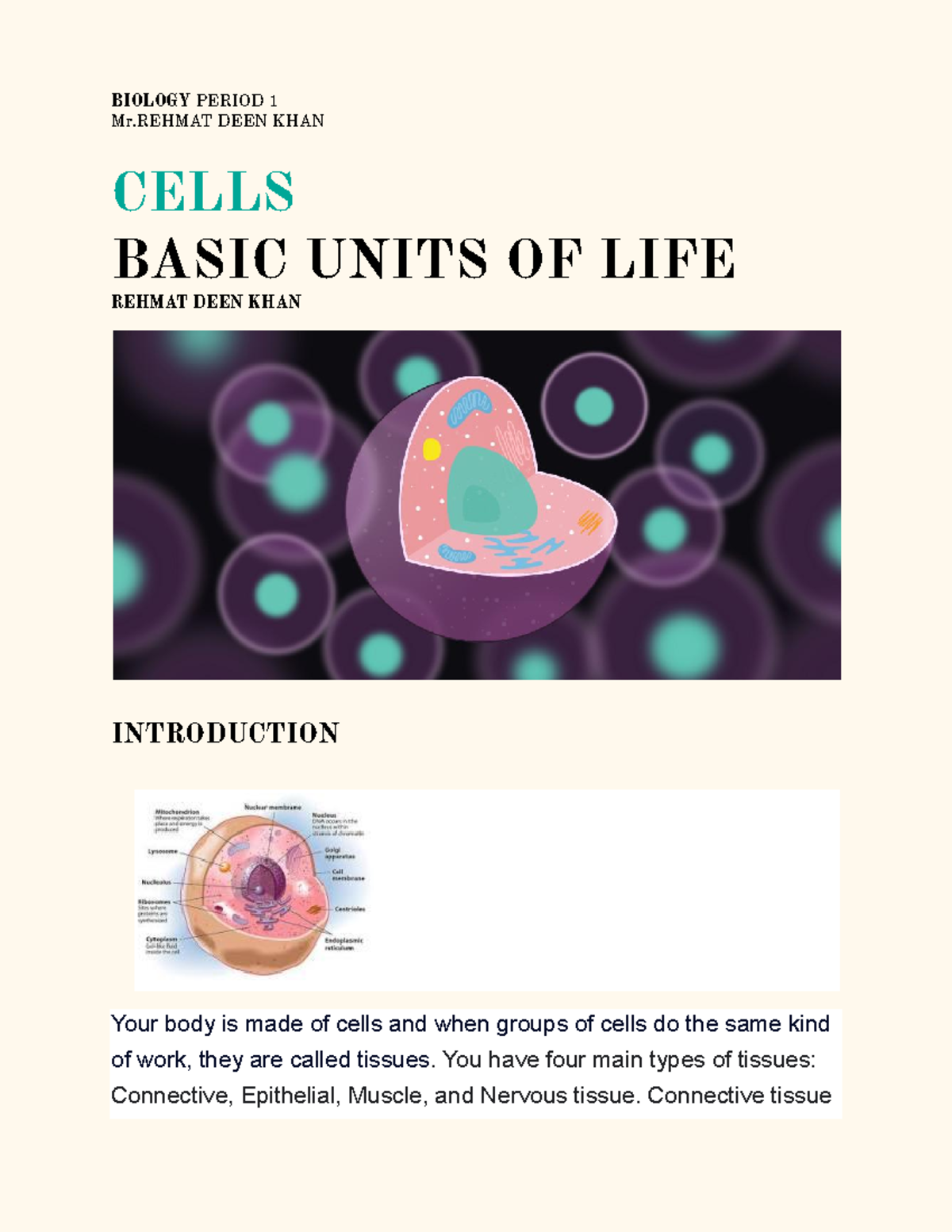 CELL Theory - BIOLOGY PERIOD 1 Mr DEEN KHAN CELLS BASIC UNITS OF LIFE ...