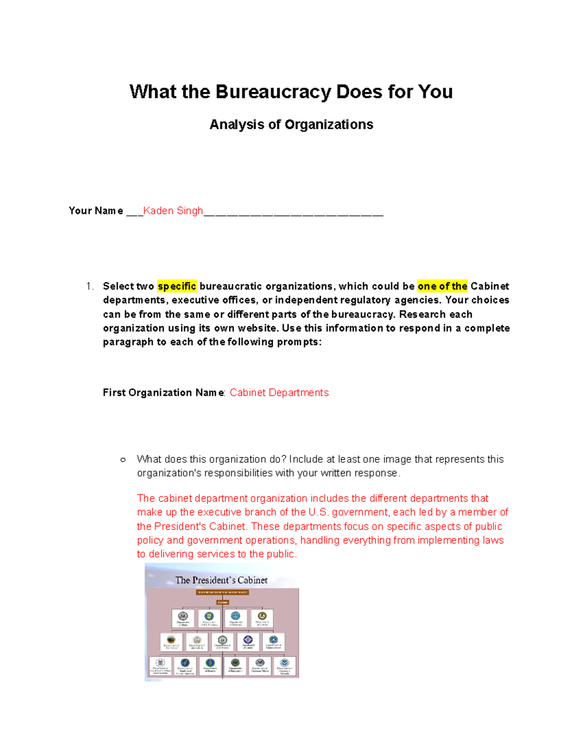 2.04 US GOV V23 Bureaucracy Analysis Assignment Template