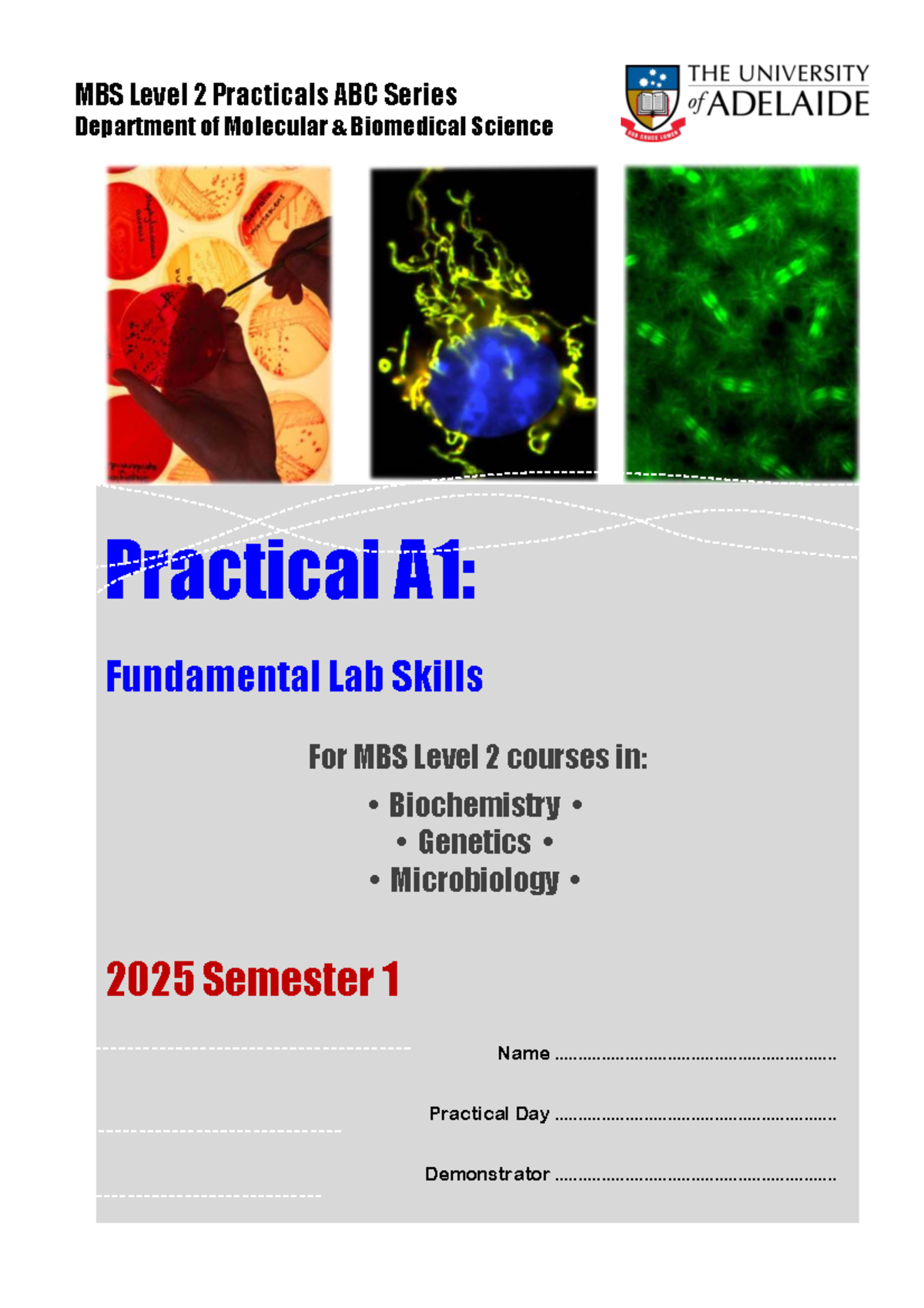 MBS Level 2 Practical A1 Manual: Fundamental Lab Skills 2025 - Studocu