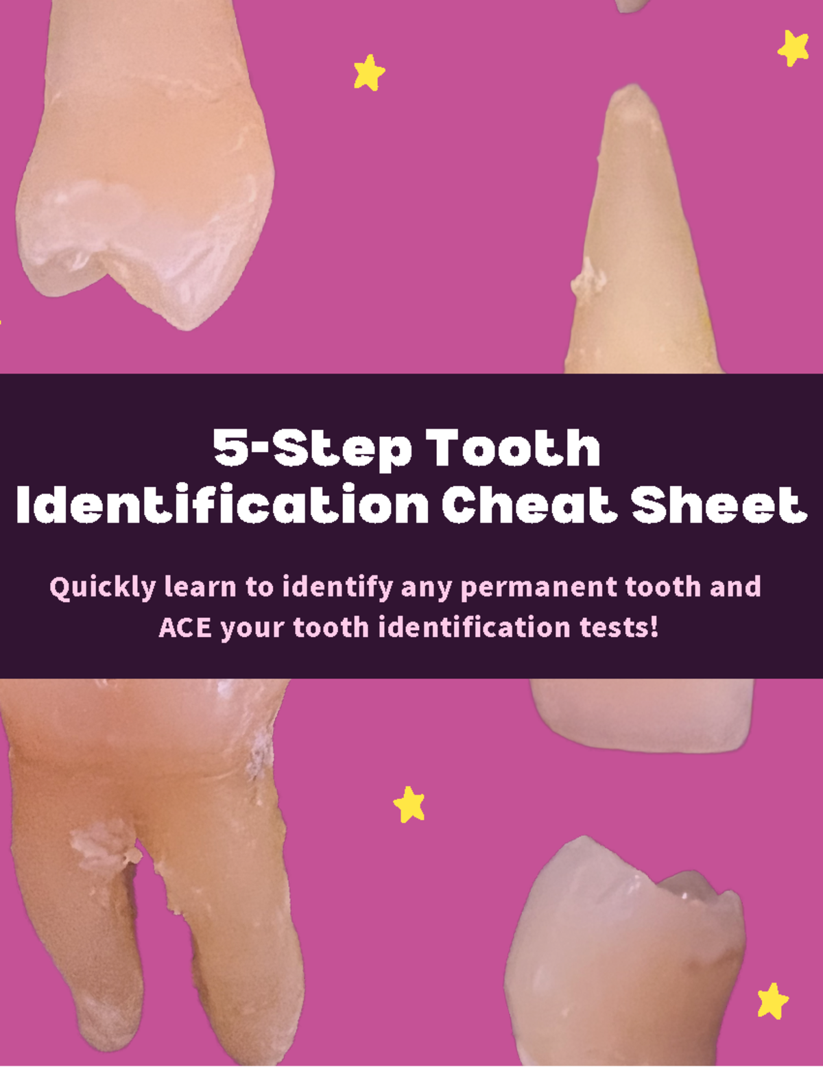 5-Step Tooth Identification Cheat Sheet: Mastering Permanent Teeth ...