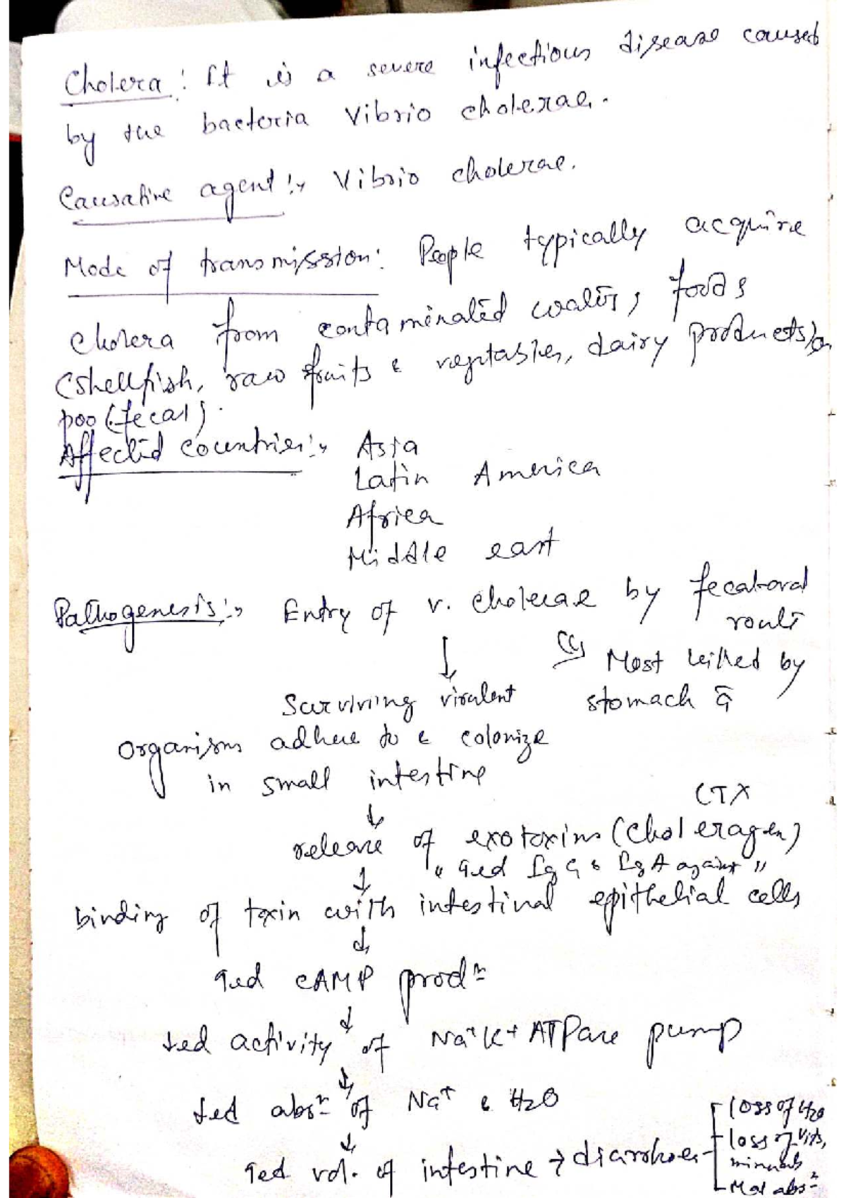 Cholera: Social Pharmacy Notes on Infection & Treatment (PHAR 101 ...