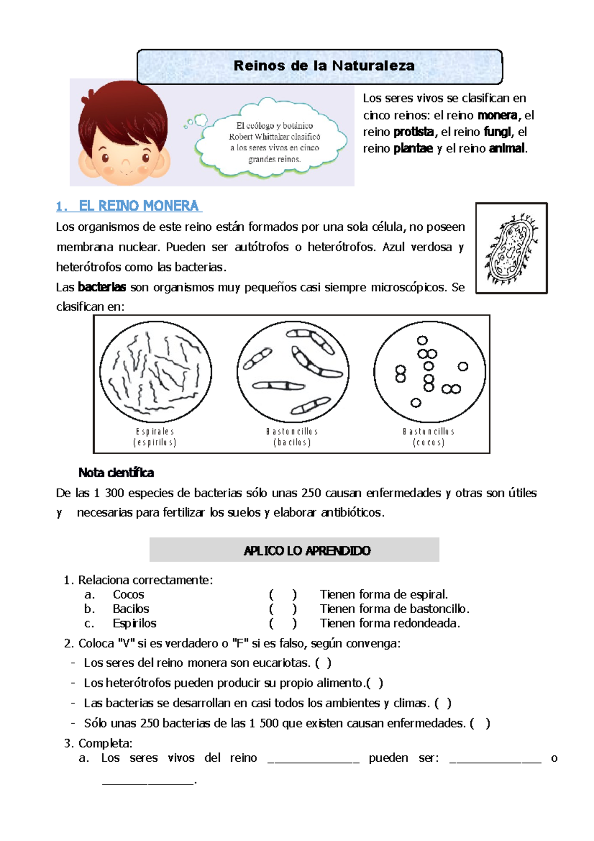El reino monera está formado solo por bacterias (98) foto