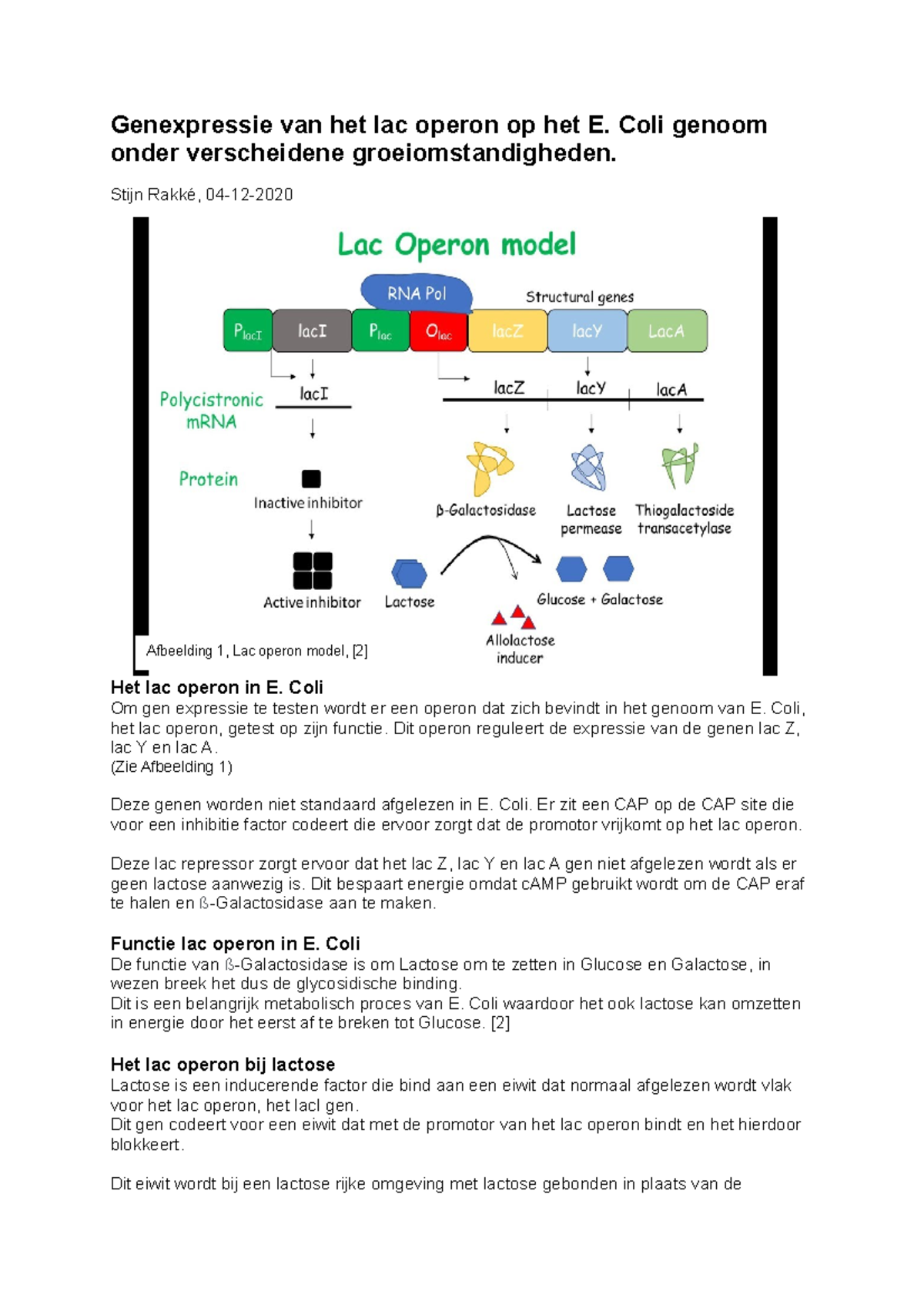 Genexpressie van het lac operon in E. Coli bij verschillende ...