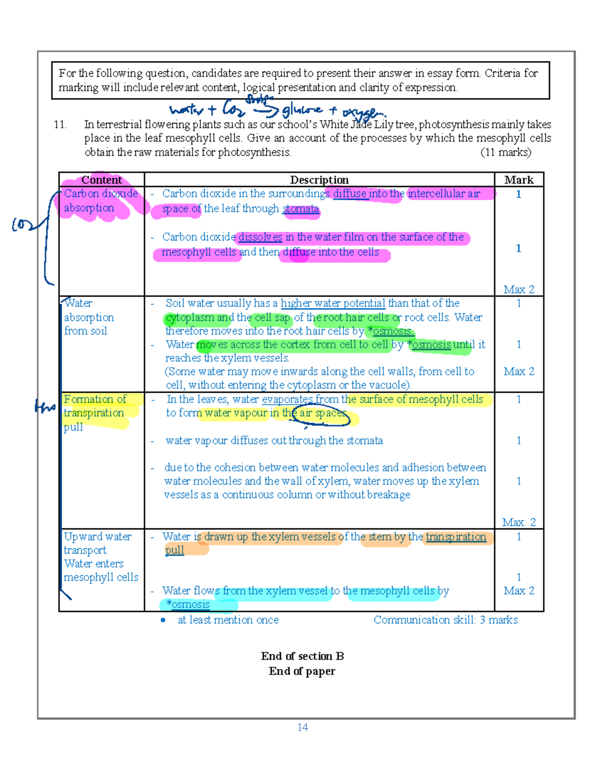 SPCC Form Six Mock Exam 2019 - Paper 1B Essay Answers on Photosynthesis ...