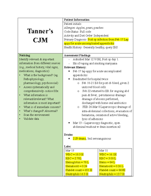 BSNC 3030 Clinical Research Template: Client Assessment & Interventions ...