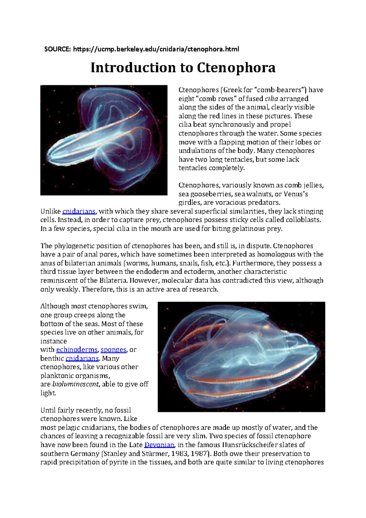 Biol214 - Comprehensive Study Guide on Phylum Annelida and More - Studocu