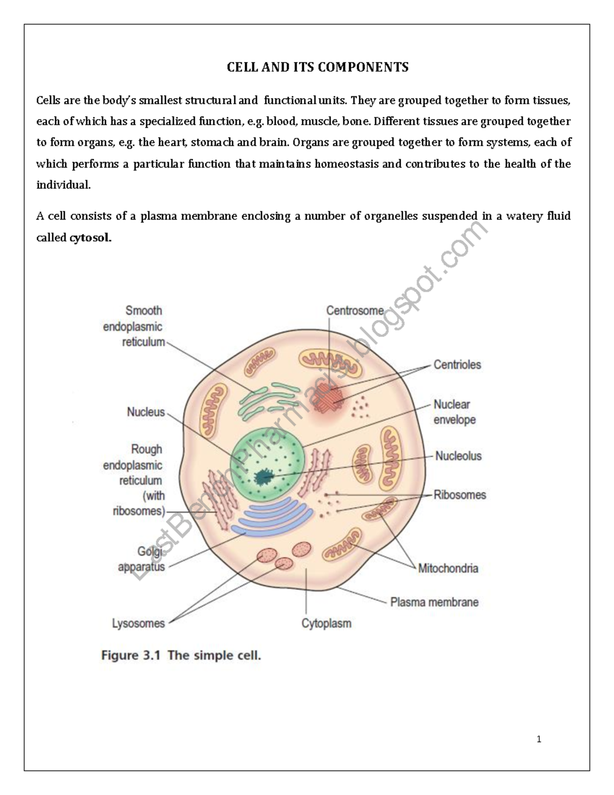 Complete Cell Structure & Functions Notes - B Pharm Study Guide - Studocu