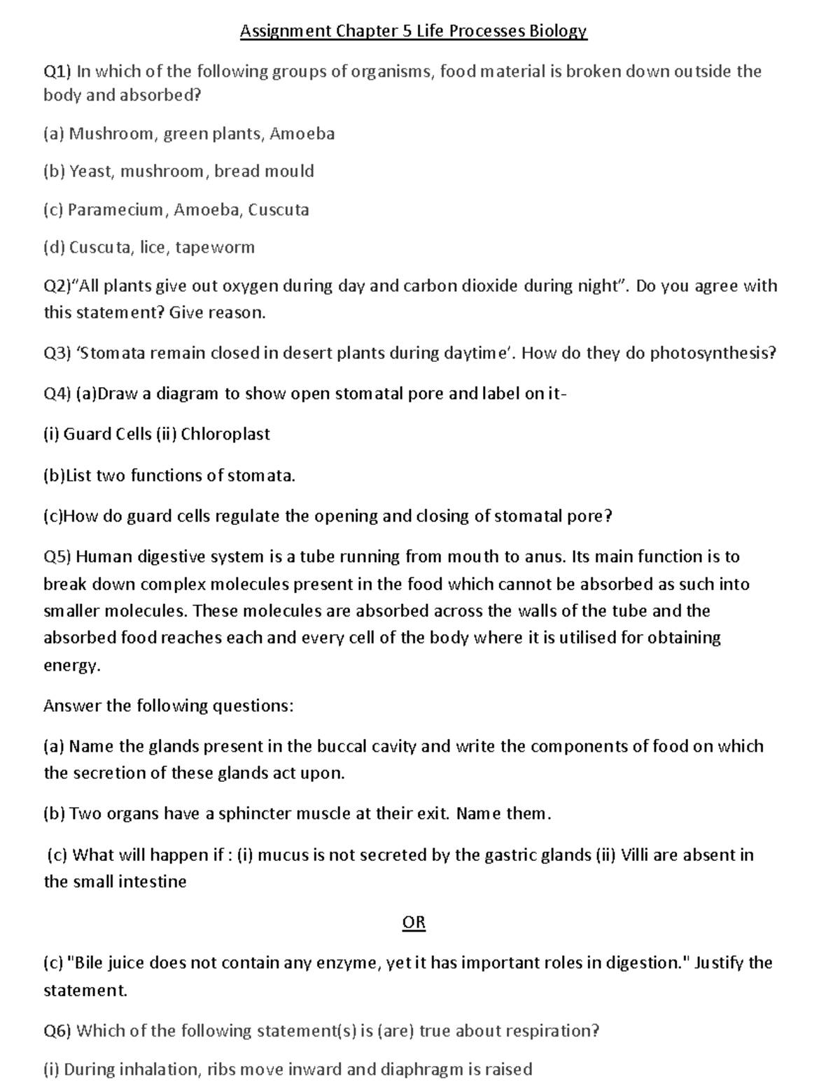 Assignment Chapter 5 Life Processes Biology - Assignment Chapter 5 Life ...