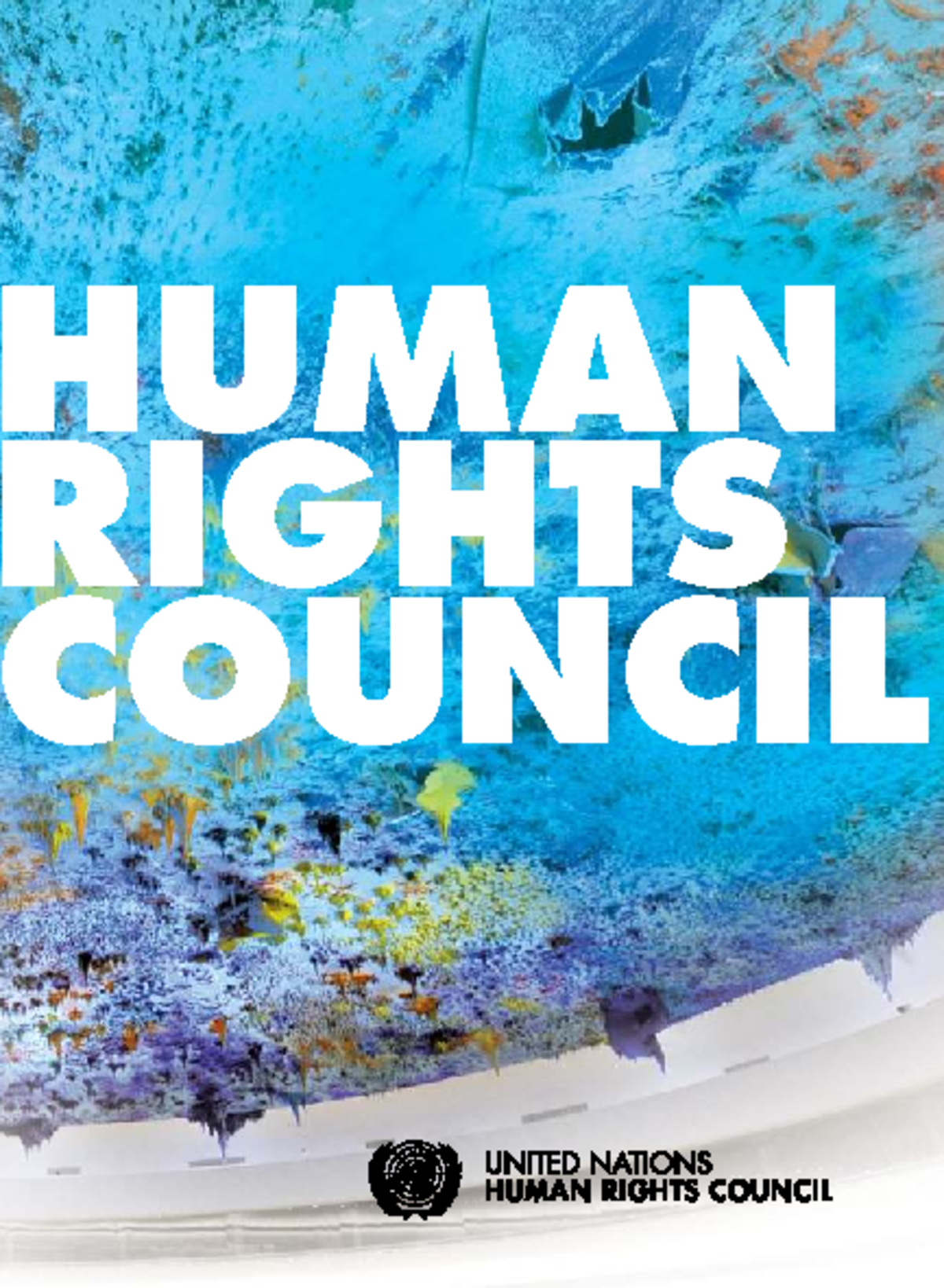 UN HRC: Overview and Functions of the Human Rights Council - Studocu