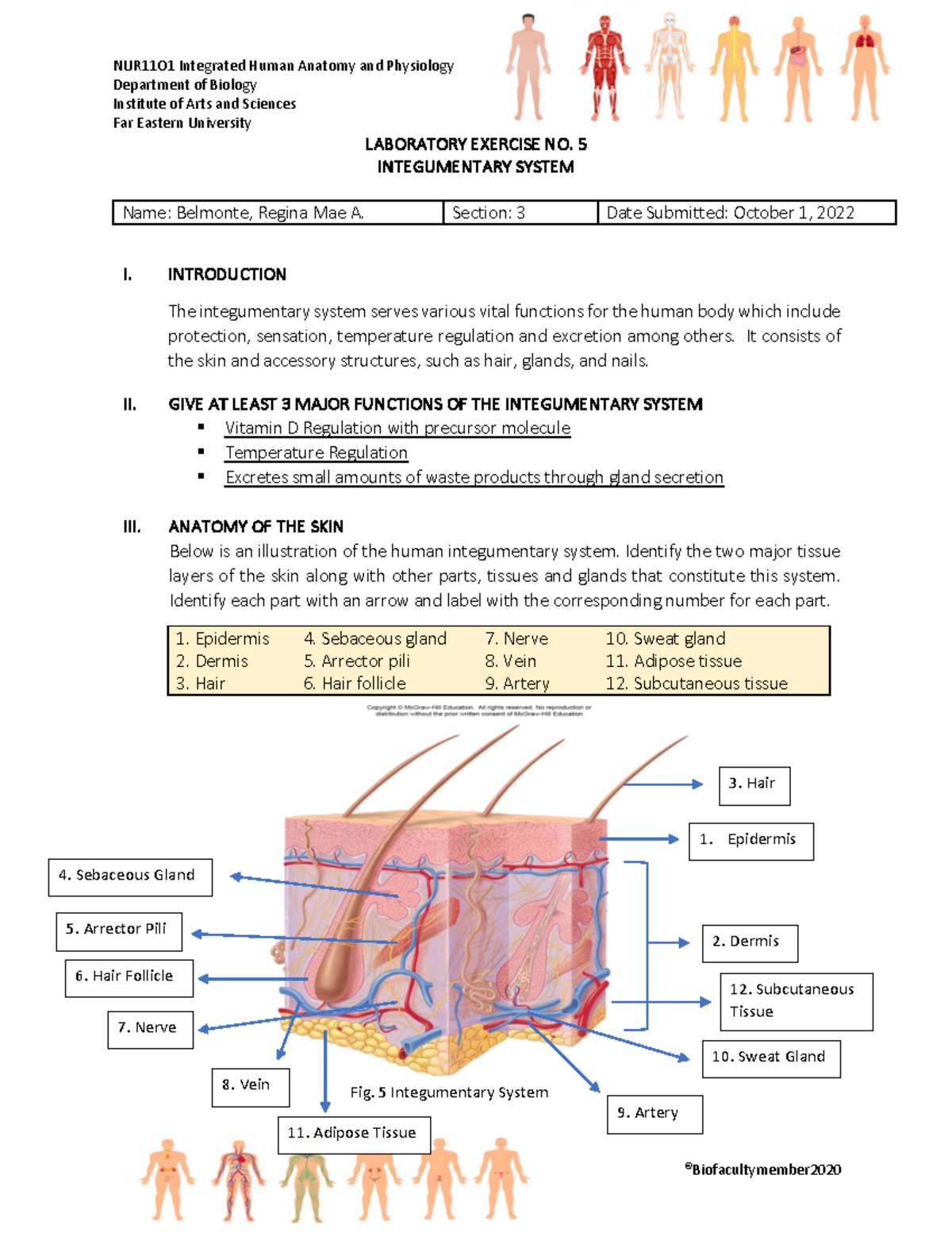 NUR11O1 LAB-EX-5: Integumentary System Overview and Assessment - Studocu