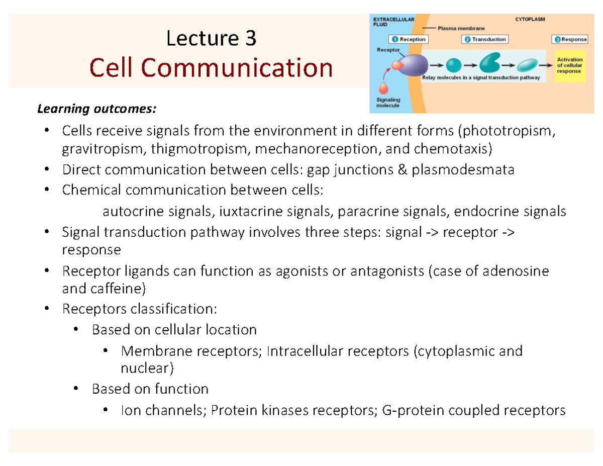 Cell Communication: Types of Signals & Receptors (BIO101) - Studocu