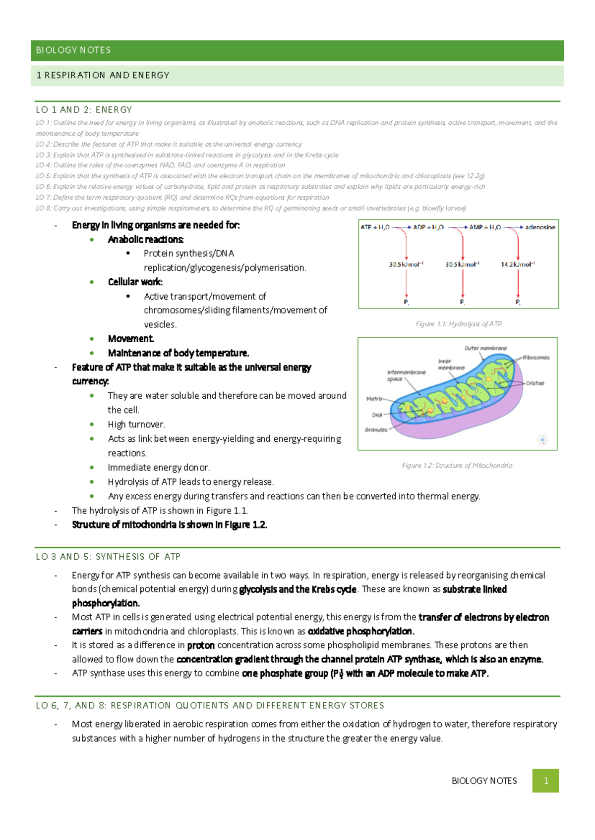 A Level Biology Complete Notes on Respiration and Photosynthesis - Studocu