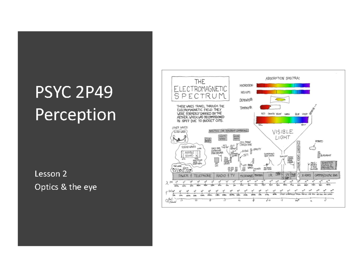 Understanding Retinal Pathways and Visual Perception - PSYC 2P49 ...